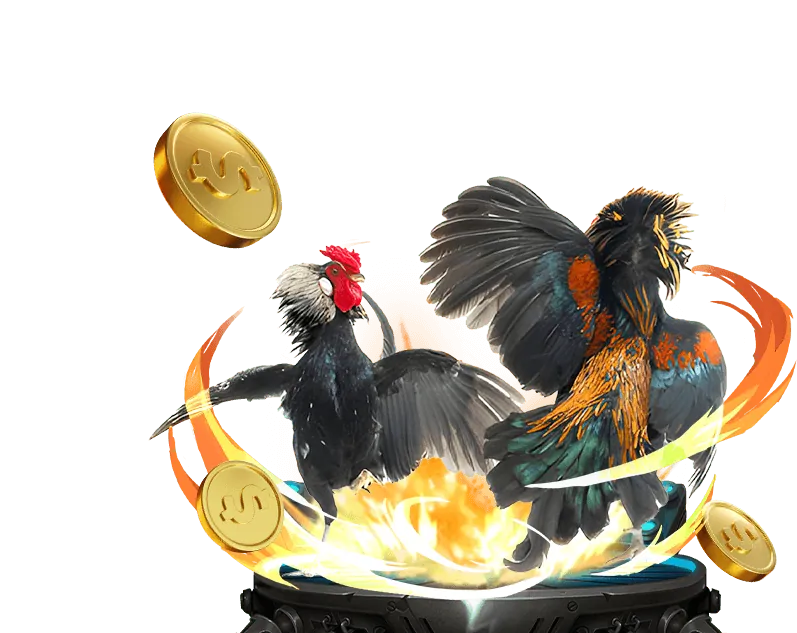 Các biểu tượng phương thức thanh toán tại C54, 54